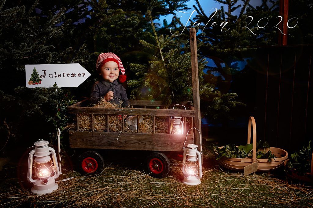 en lille nisse paa indkob efter juletrae