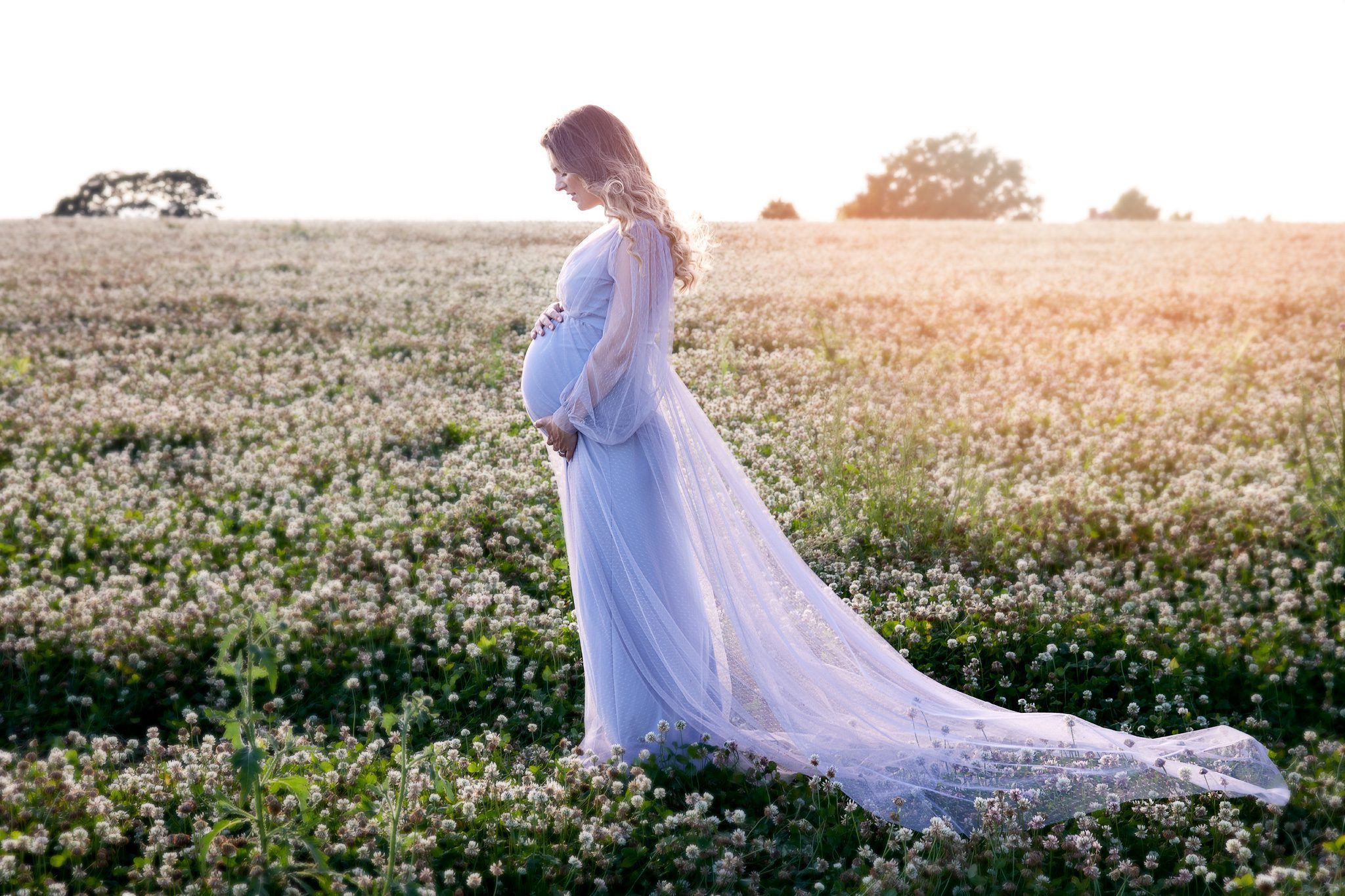 gravid kjoler til fotografering kvinde i klovermark