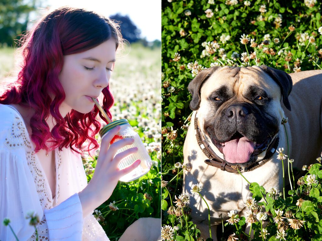 paa picnic tur med hunden