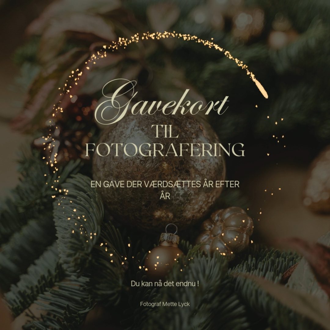 Studio Feder Gavekort main image 1
