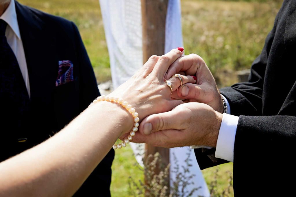 vielse paa  dambaekgaard