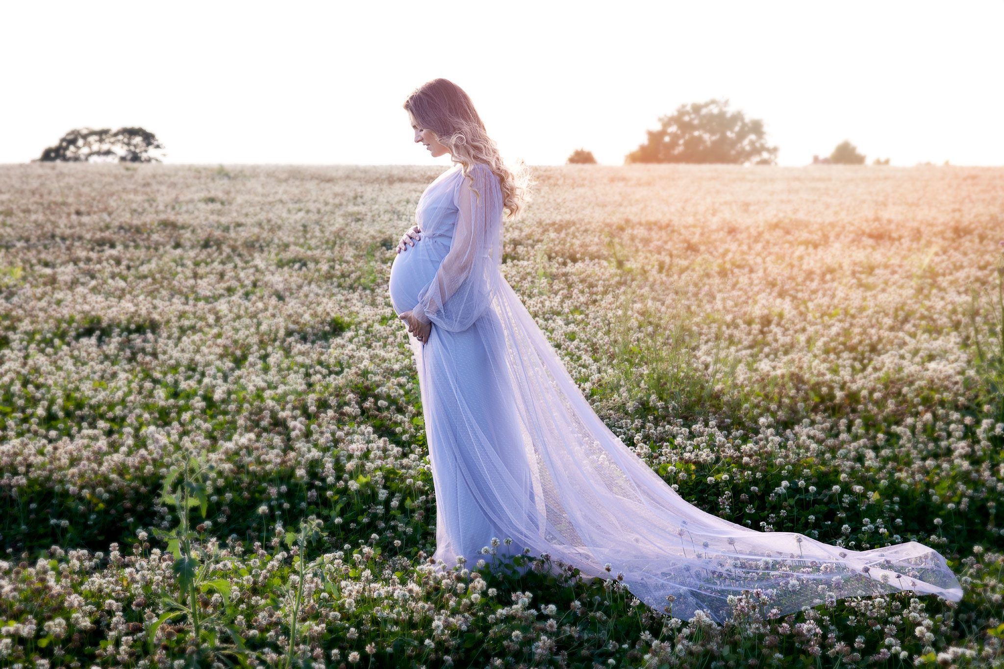 gravid i en kloevermark